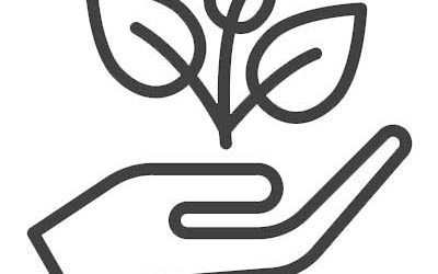 Manutenzione, gestione e pulizia aree verdi Roma